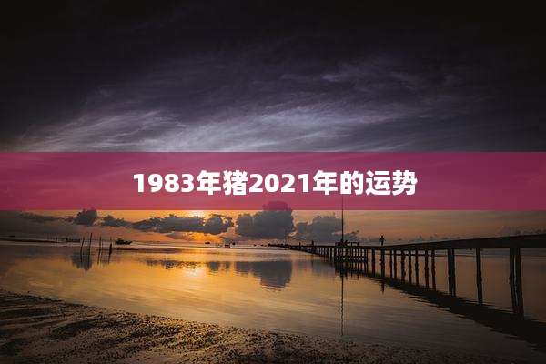 1983年猪2021年的运势
