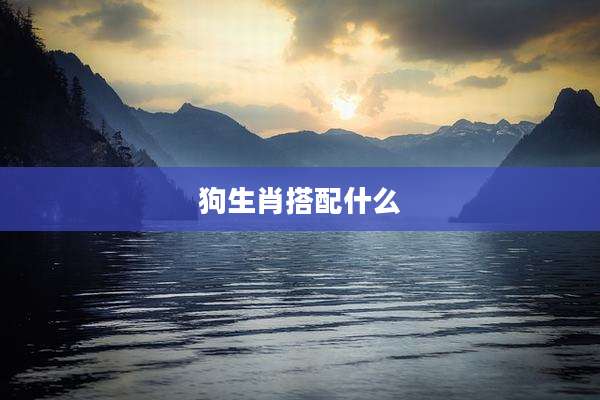 狗生肖搭配什么