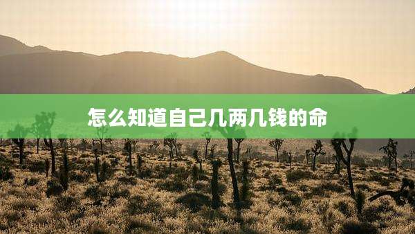 怎么知道自己几两几钱的命