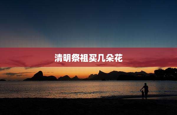 清明祭祖买几朵花