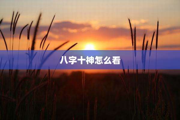 八字十神怎么看