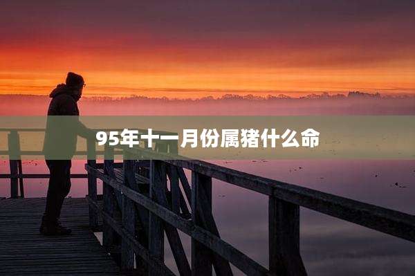 95年十一月份属猪什么命