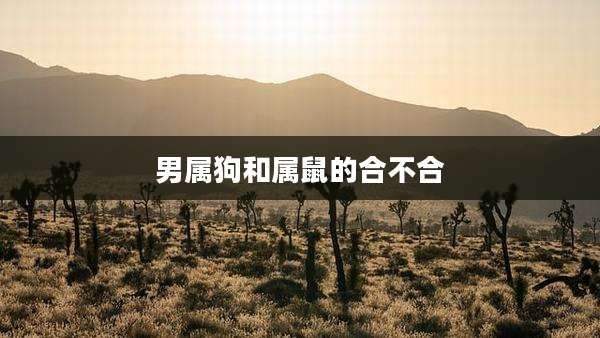 男属狗和属鼠的合不合