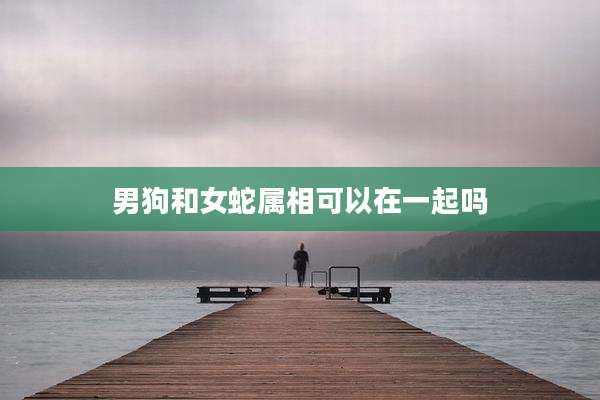 男狗和女蛇属相可以在一起吗