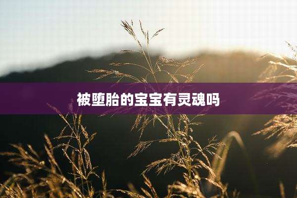 被堕胎的宝宝有灵魂吗