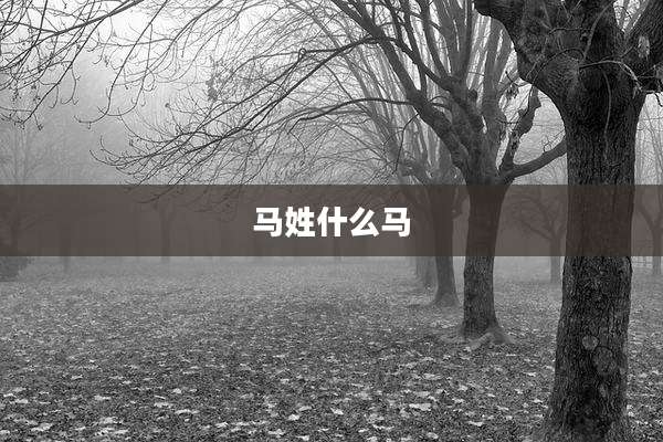 马姓什么马