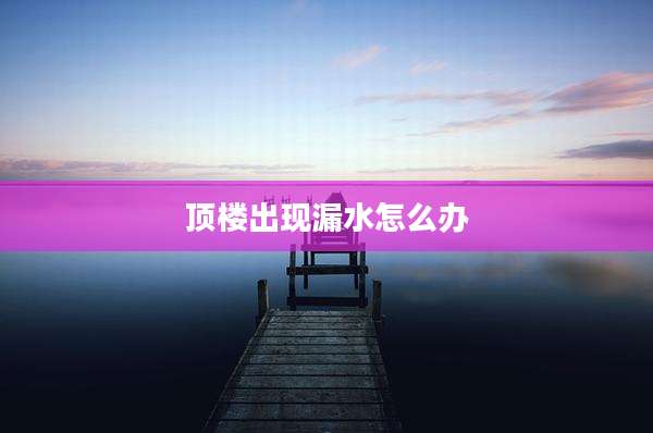 顶楼出现漏水怎么办