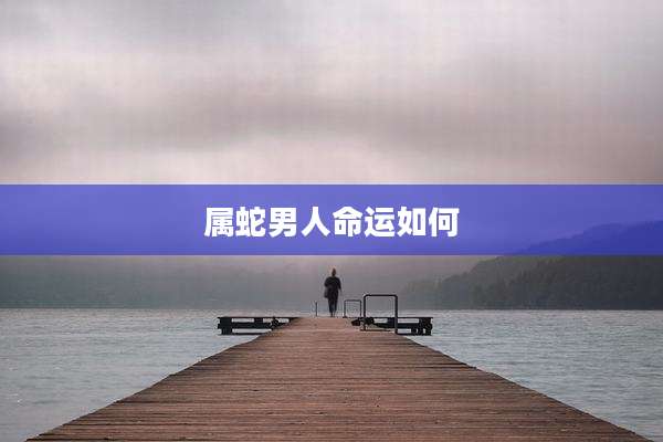 属蛇男人命运如何