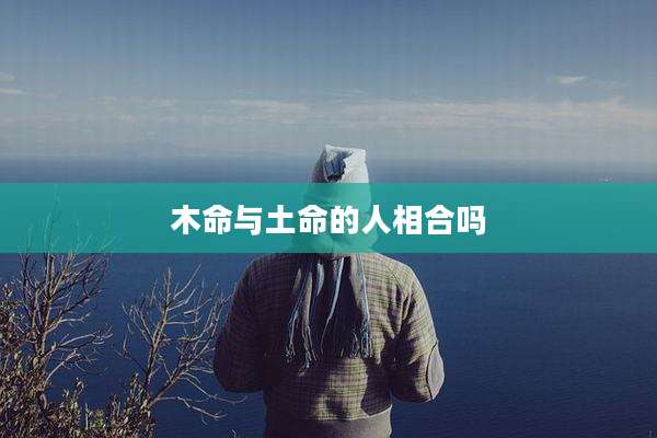 木命与土命的人相合吗