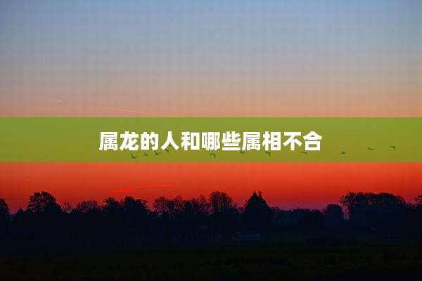 属龙的人和哪些属相不合