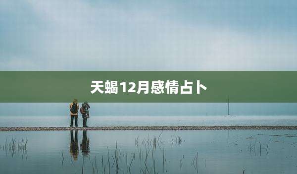 天蝎12月感情占卜