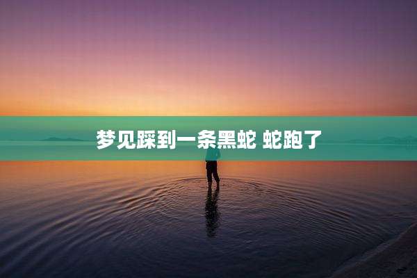 梦见踩到一条黑蛇 蛇跑了