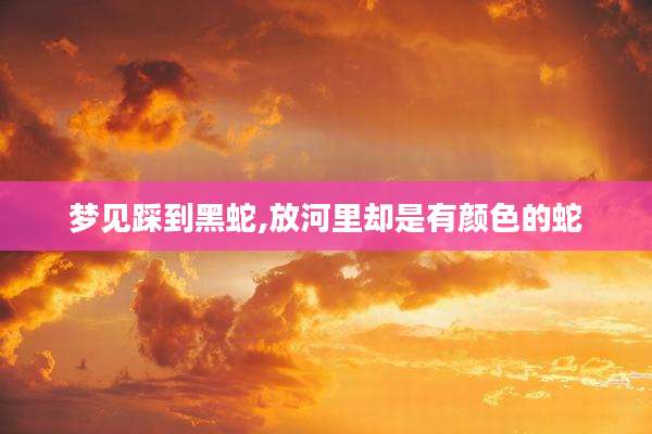 梦见踩到黑蛇,放河里却是有颜色的蛇