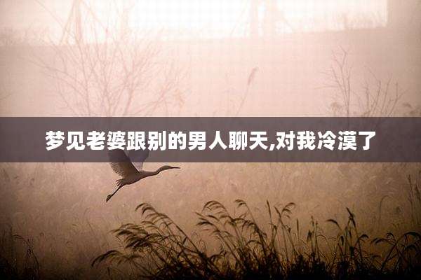 梦见老婆跟别的男人聊天,对我冷漠了