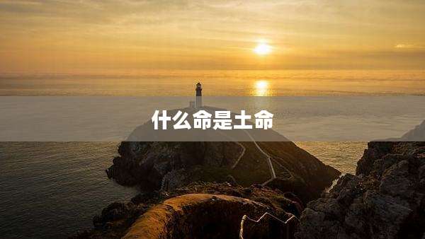 什么命是土命