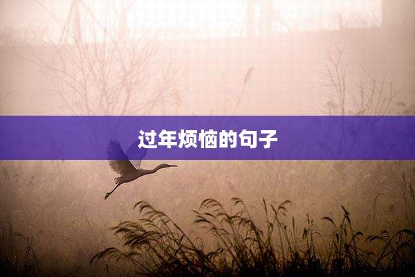 过年烦恼的句子