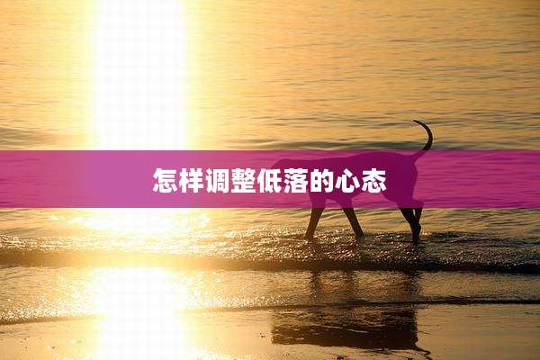 怎样调整低落的心态