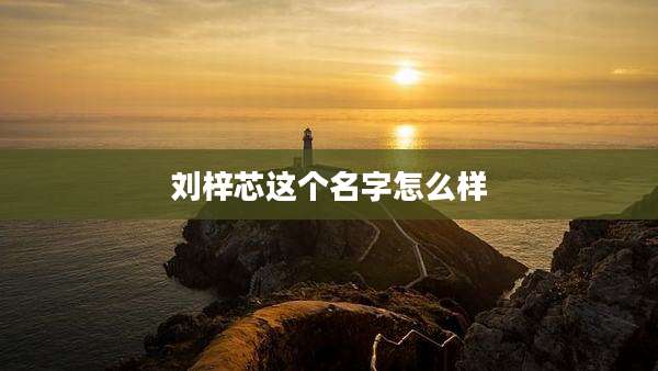 刘梓芯这个名字怎么样