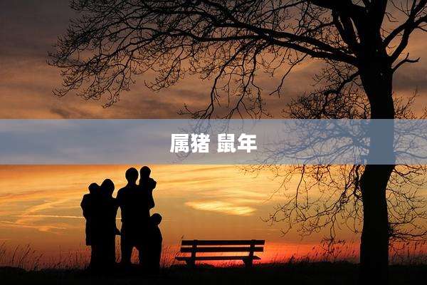 属猪 鼠年