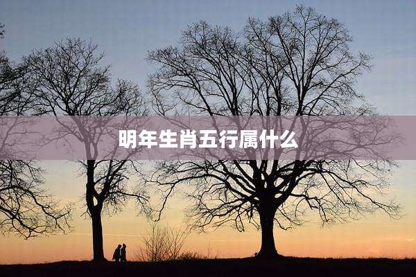 明年生肖五行属什么