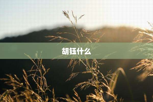 胡钰什么