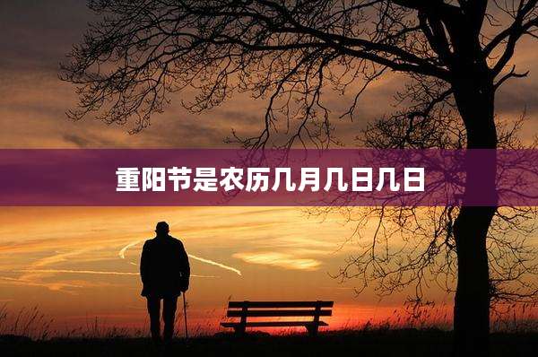 重阳节是农历几月几日几日