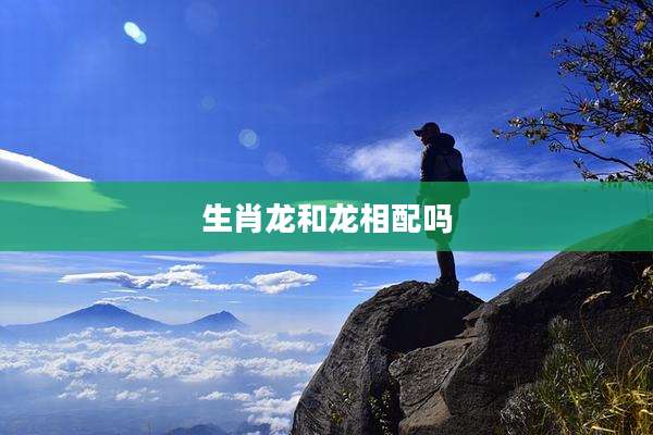 生肖龙和龙相配吗