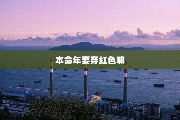 本命年要穿红色嘛
