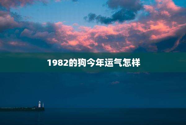 1982的狗今年运气怎样