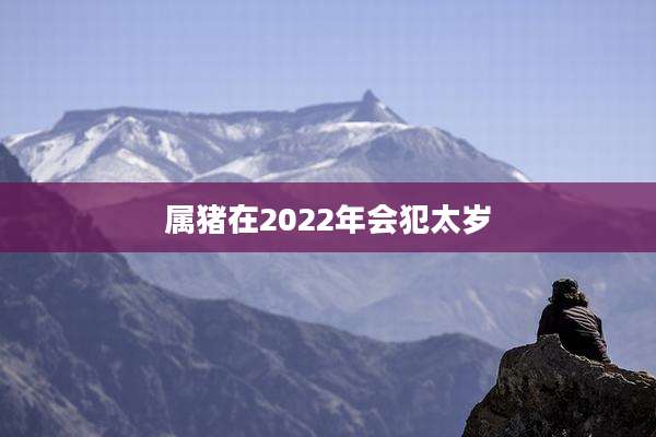 属猪在2022年会犯太岁