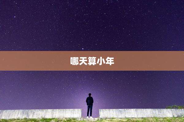 哪天算小年