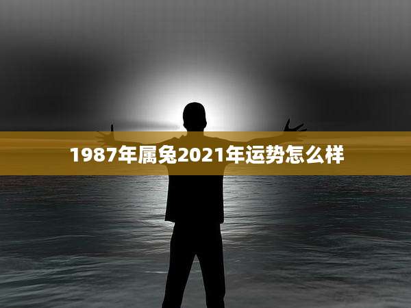 1987年属兔2021年运势怎么样