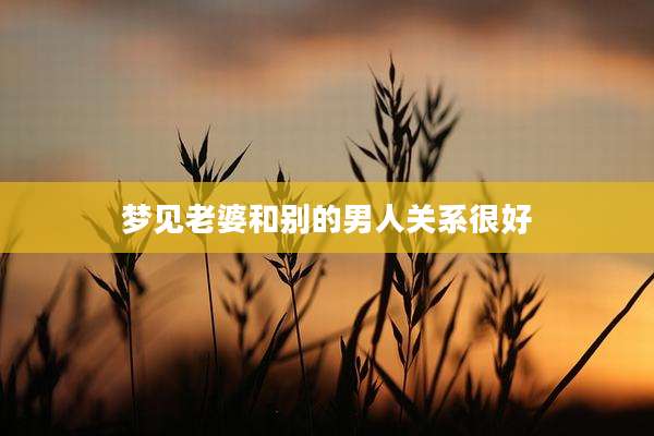 梦见老婆和别的男人关系很好