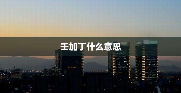 壬加丁什么意思