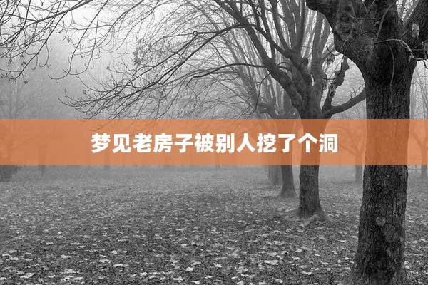 梦见老房子被别人挖了个洞