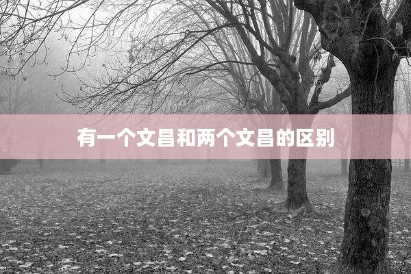 有一个文昌和两个文昌的区别