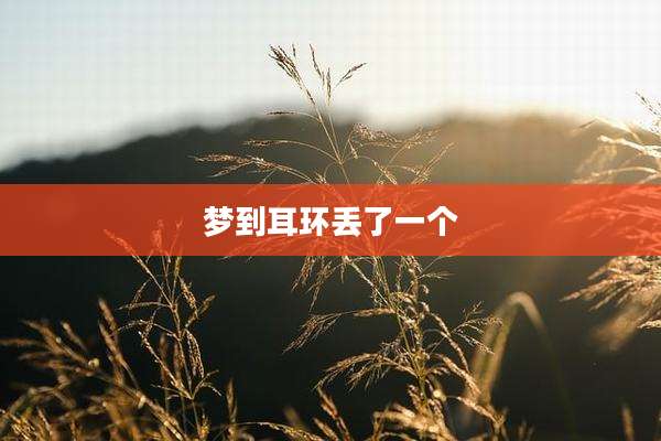 梦到耳环丢了一个