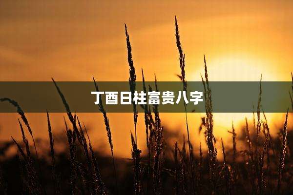 丁酉日柱富贵八字