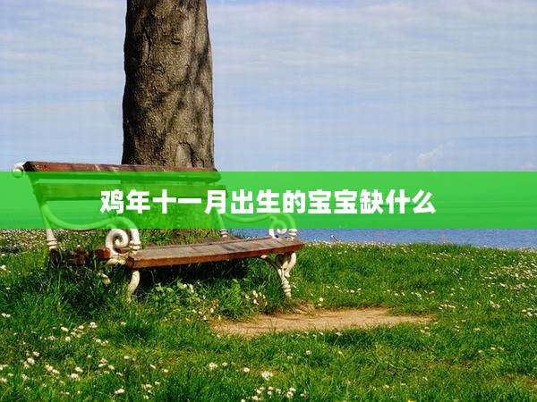 鸡年十一月出生的宝宝缺什么