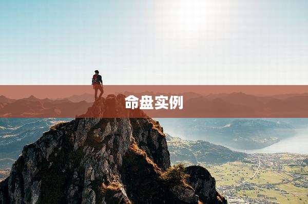 命盘实例