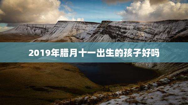 2019年腊月十一出生的孩子好吗
