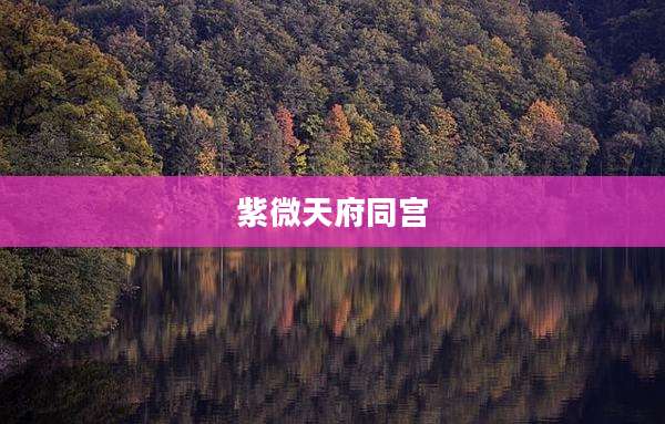 紫微天府同宫