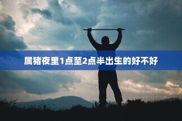 属猪夜里1点至2点半出生的好不好