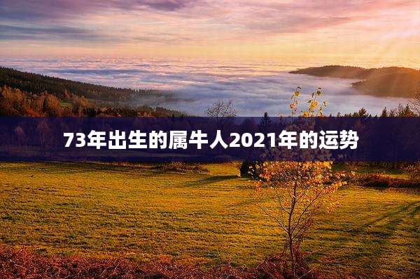 73年出生的属牛人2021年的运势