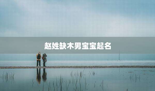 赵姓缺木男宝宝起名