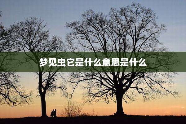 梦见虫它是什么意思是什么