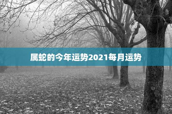 属蛇的今年运势2021每月运势