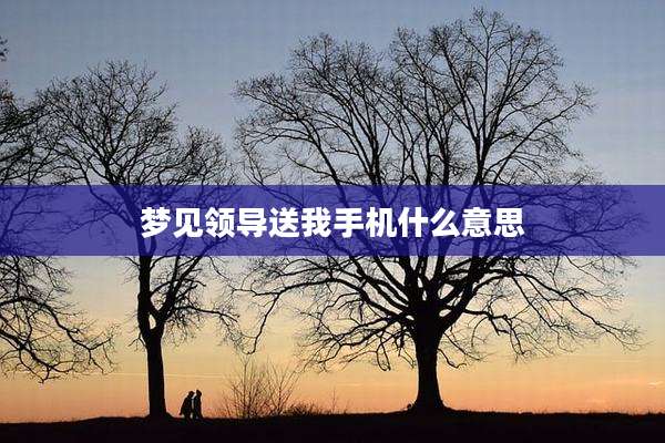 梦见领导送我手机什么意思