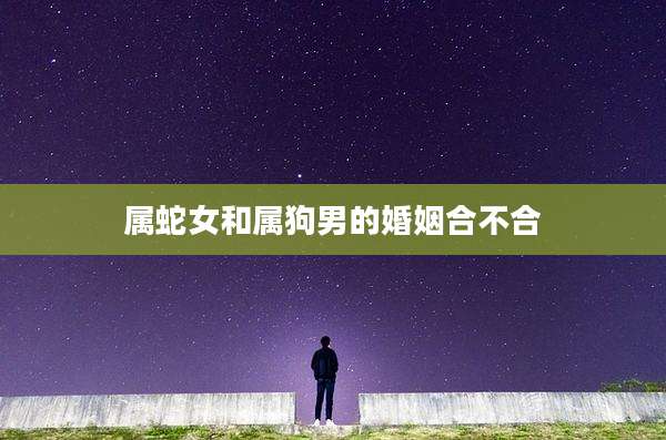 属蛇女和属狗男的婚姻合不合