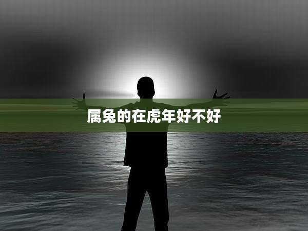 属兔的在虎年好不好
